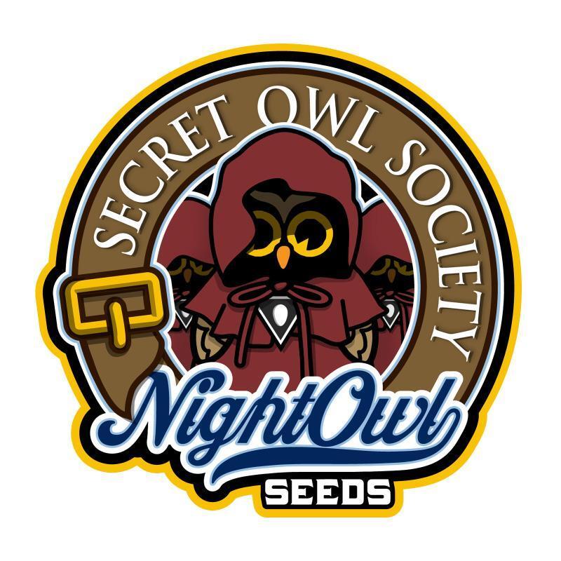 Night Owl Seeds - Dessert Isle Auto (auto/fem.)