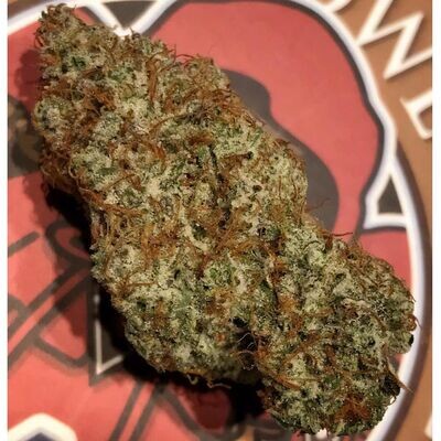 Night Owl Seeds - Spice Melange Auto (auto/fem.) 08970