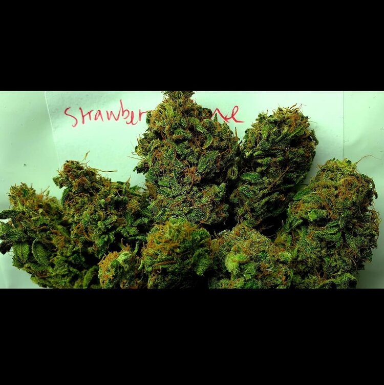 Holy Smoke Seeds - Strawberry Cane (fem.)