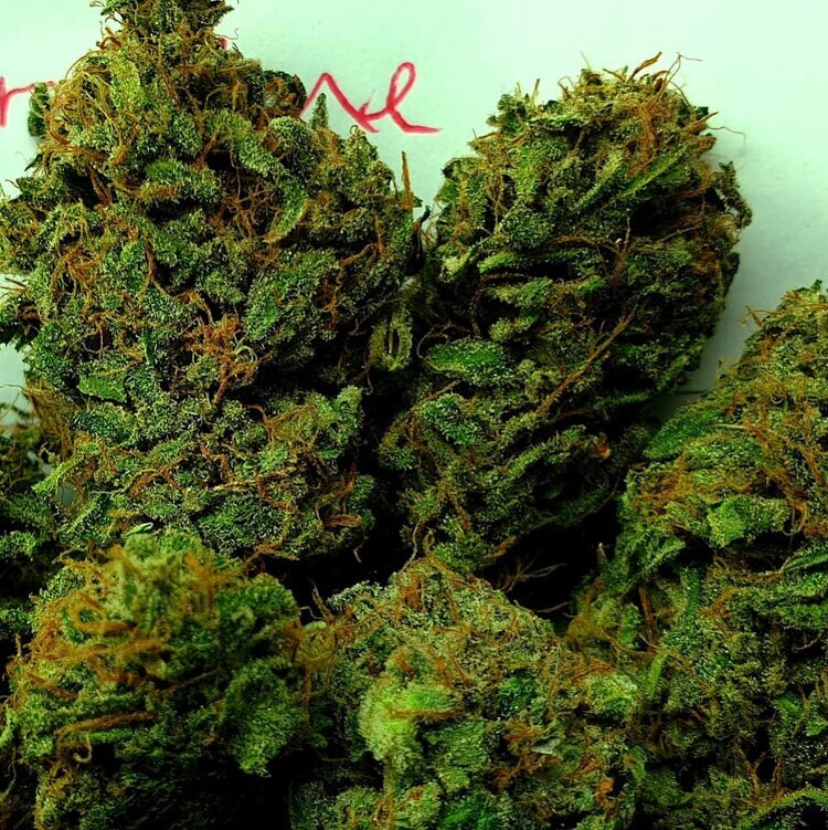 Holy Smoke Seeds - Strawberry Cane (fem.)