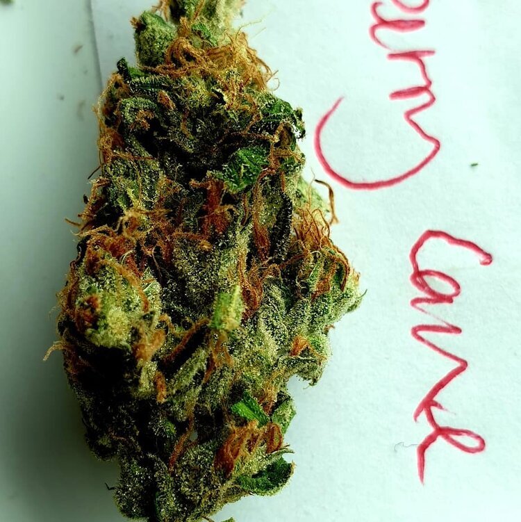 Holy Smoke Seeds - Strawberry Cane (fem.)