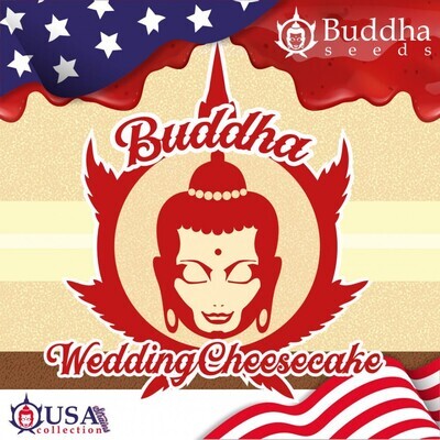 Buddha Seeds - Wedding Cheesecake (fem.) 08994