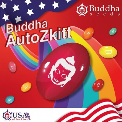 Buddha Seeds - Buddha Auto Zkitt (auto/fem.) 09001