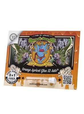 Sweet Seeds - Orange Apricot Glue XL Auto (auto/fem.) 09009