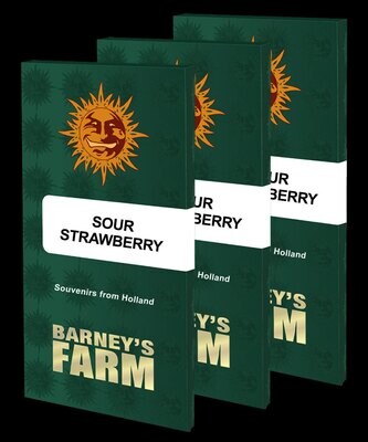 Barney's Farm - Sour Strawberry (fem.) 09021