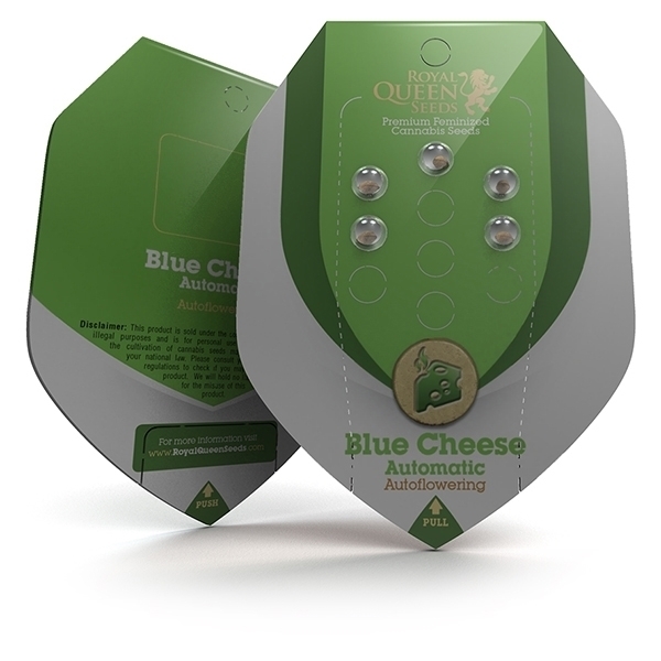 Royal Queen Seeds - Blue Cheese Automatic (auto/fem.)