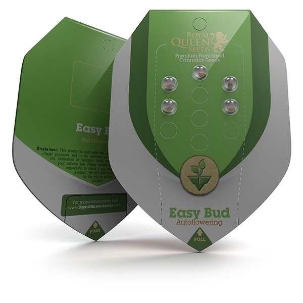 Royal Queen Seeds - Easy Bud (auto/fem.)