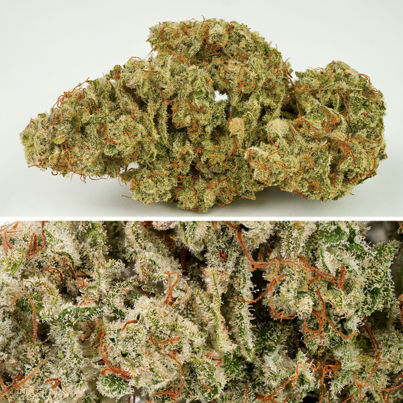 Dutch Passion - Auto SFV OG (auto/fem.)
