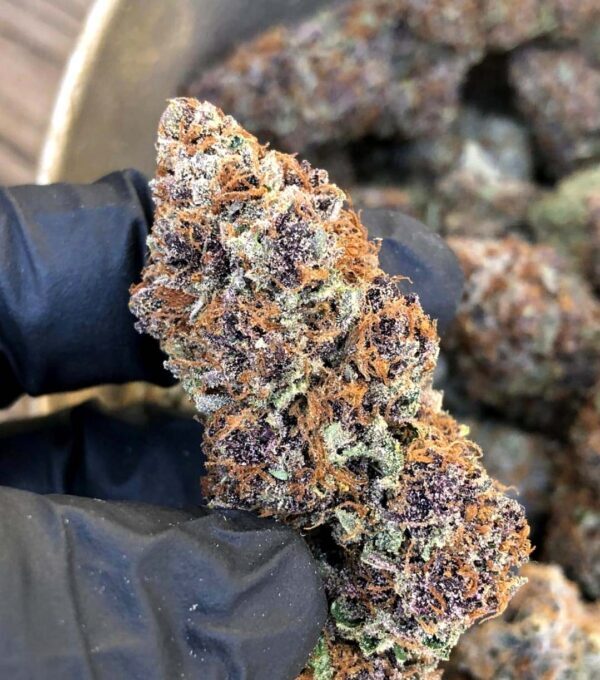 Humboldt Seed Organization - Forbidden Fruit Fast Flowering (fem.)