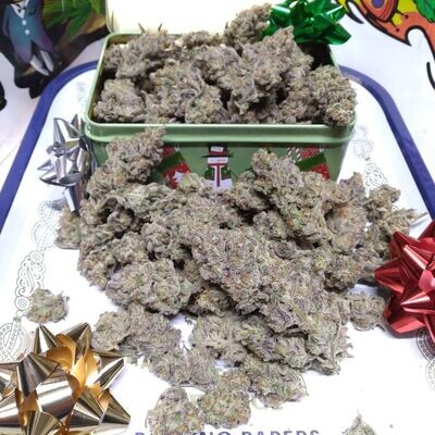 Night Owl Seeds - Scoopski F2 Auto (auto/fem.) 09224