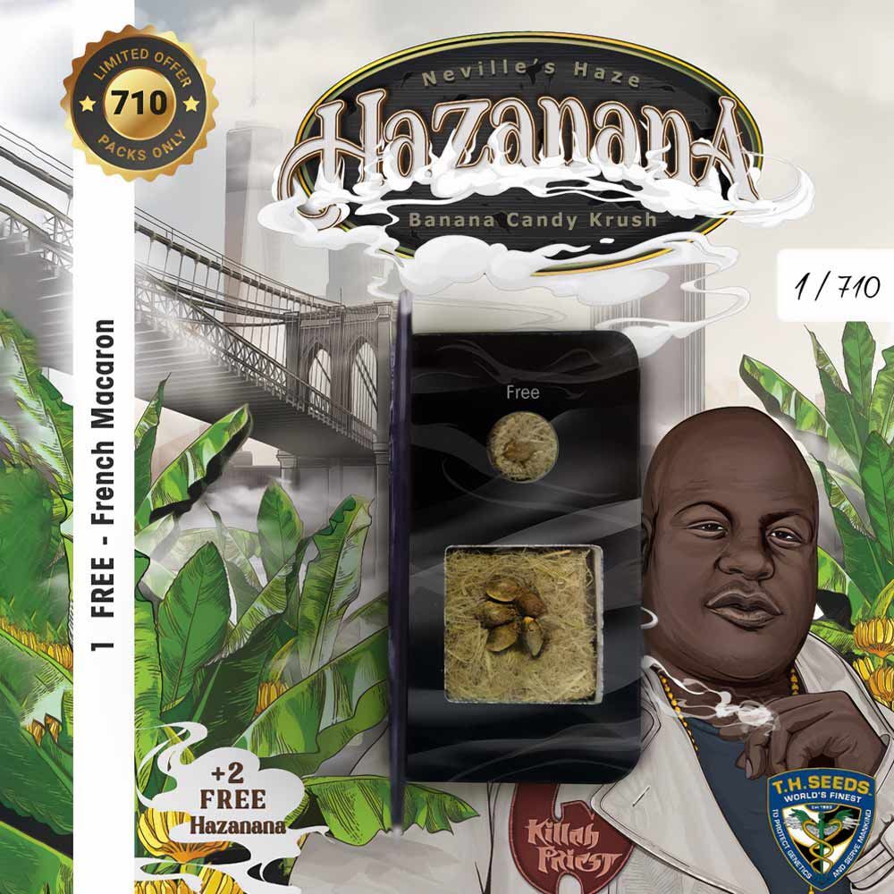 T.H. Seeds - Hazanana (fem.)