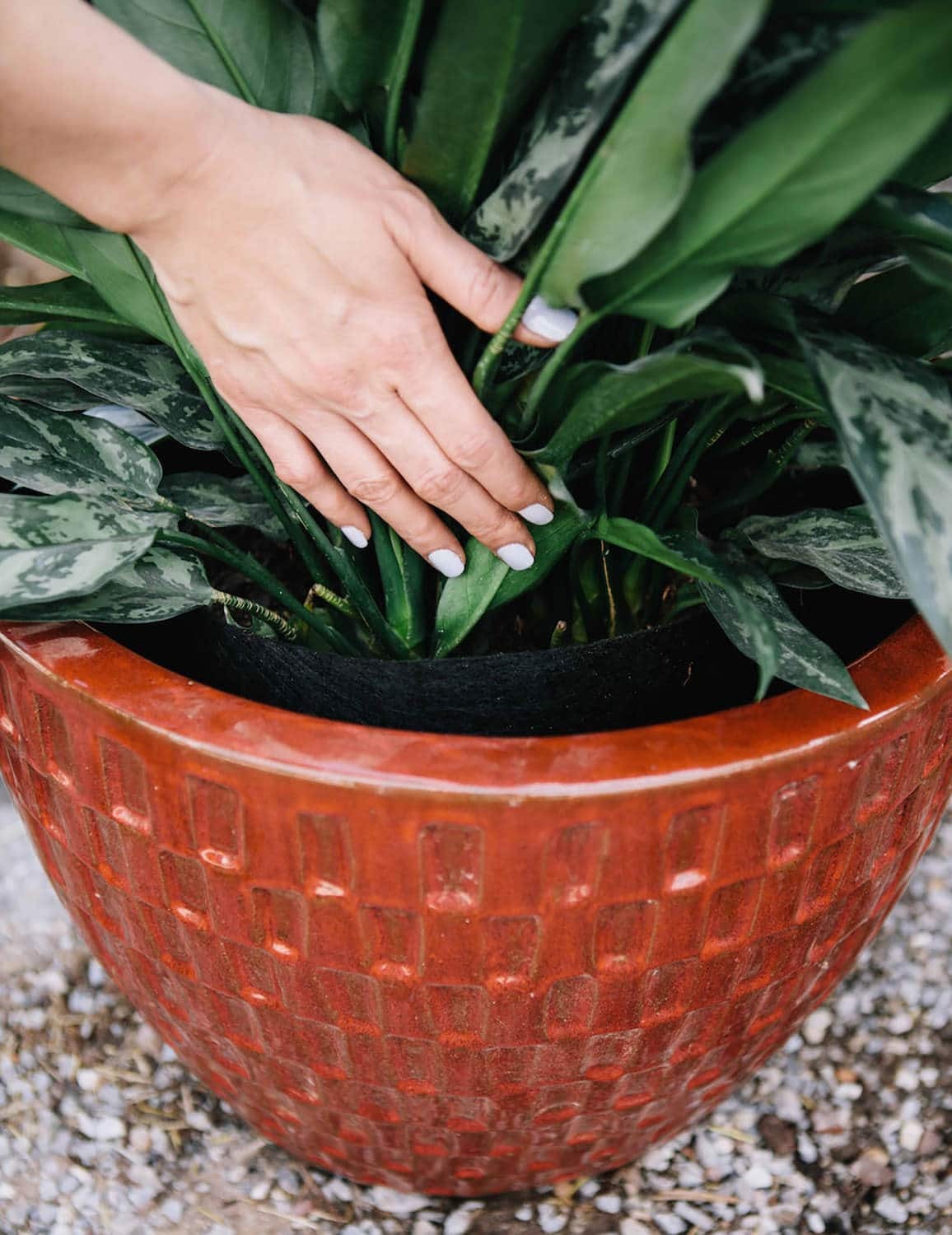 Дышащий горшок Smart Pot оригинальный классический