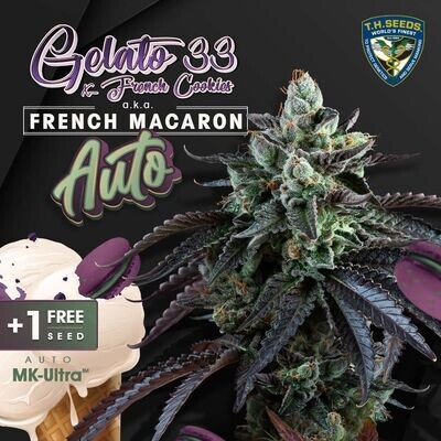 T.H. Seeds - Auto French Macaron (auto/fem.) 09249