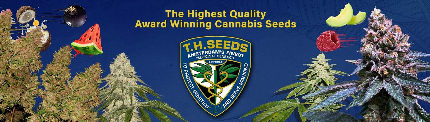 T.H. Seeds - Auto French Macaron (auto/fem.)