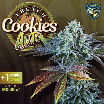 T.H. Seeds - Auto French Cookies (auto/fem.) 09250