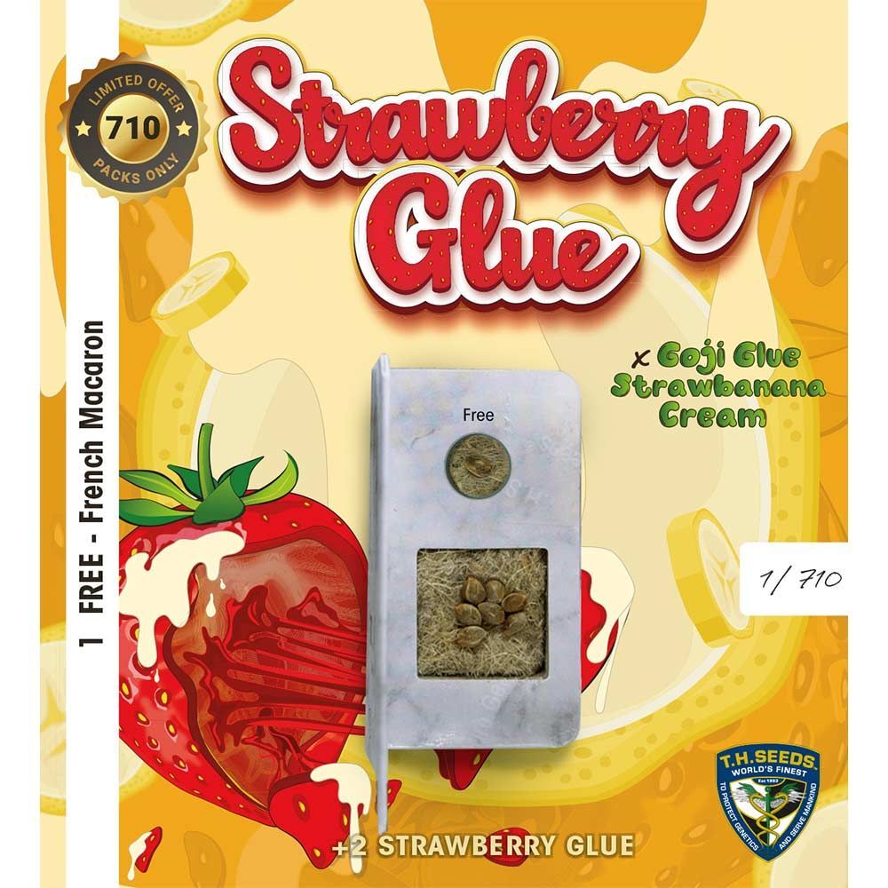 T.H. Seeds - Strawberry Glue (fem.)