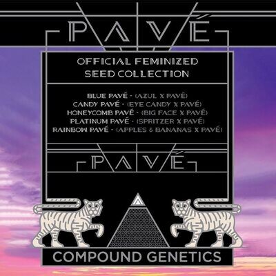 Compound Genetics - Honeycomb Pave (fem.) 09263