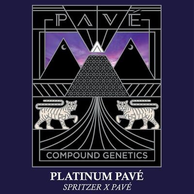 Compound Genetics - Platinum Pave (fem.) 09262