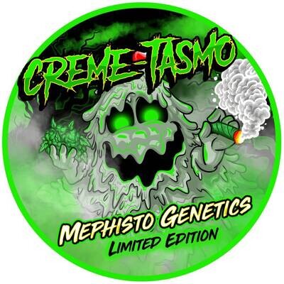 Mephisto Genetics - Creme-Tasmo (auto/fem.) 09270