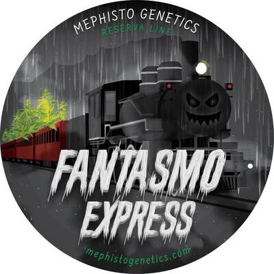 Mephisto Genetics - Fantasmo Express (auto/fem.) 05344