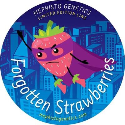 Mephisto Genetics - Forgotten Strawberries (auto/fem.) 09272