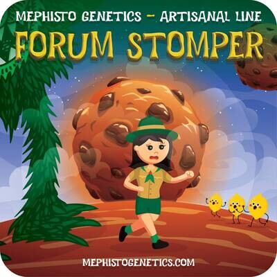 Mephisto Genetics - Forum Stomper (auto/fem.) 08494
