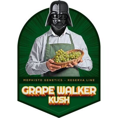 Mephisto Genetics - Grape Walker Kush (auto/fem.) 09275