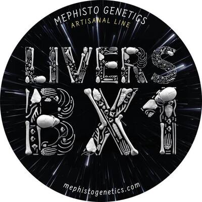 Mephisto Genetics - Livers Bx1 (auto/fem.) 09276