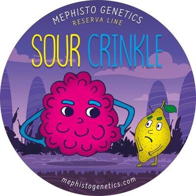Mephisto Genetics - Sour Crinkle (auto/fem.) 09281