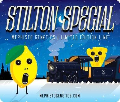 Mephisto Genetics - Stilton Special (auto/fem.) 09282