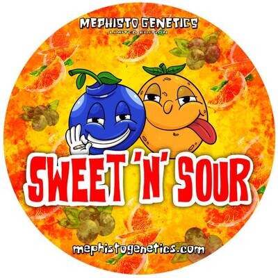 Mephisto Genetics - Sweet 'n' Sour (auto/fem.) 09284
