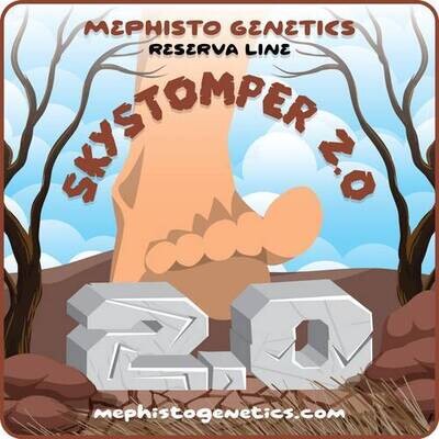 Mephisto Genetics - Skystomper 2.0 (auto/fem.) 09287
