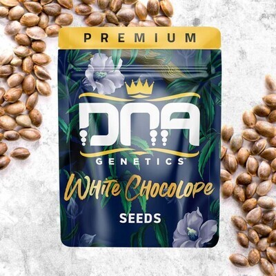 DNA Genetics - White Chocolope (fem.) 09333