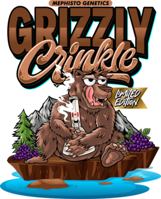 Mephisto Genetics - Grizzly Crinkle (auto/fem.) 09352
