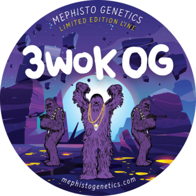 Mephisto Genetics - 3wok OG (auto/fem.) 09355