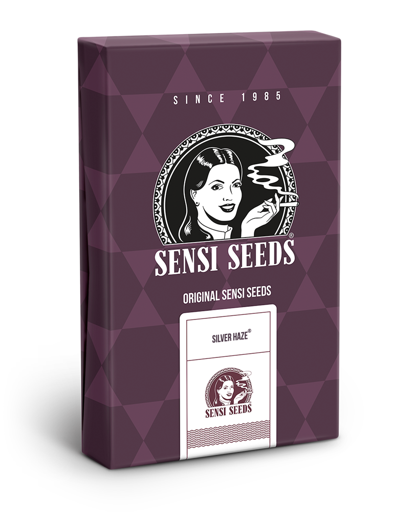 Sensi Seeds - Silver Haze (fem.)