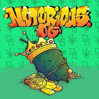 Pheno Finder Seeds - Notorious OG (fem.) 09469