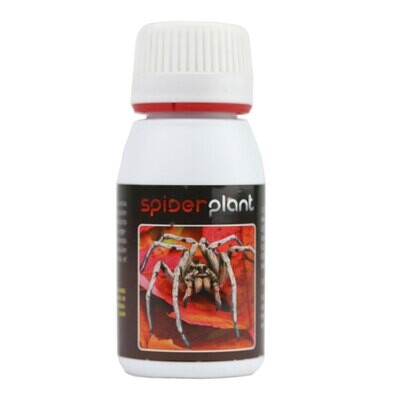 Agrobacterias - Spider Plant (средство от клещей и насекомых-вредителей растений) 05714