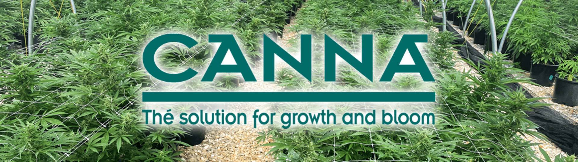 Canna - Terra Flores (удобрение для конопли на стадии цветения при выращивании в земле)