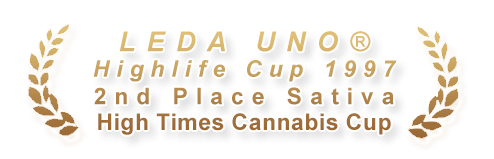 K.С. Brains Seeds - Leda Uno (fem.) 🏆