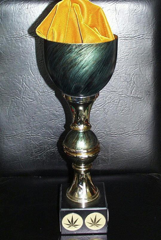 K.С. Brains Seeds - Leda Uno (fem.) 🏆