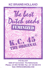 K.С. Brains Seeds - K.C. 45 (fem.)