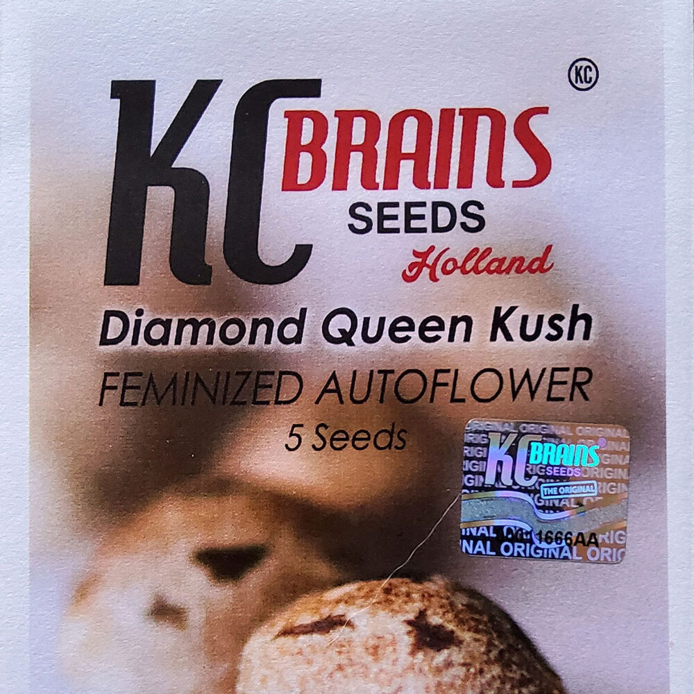 K.С. Brains Seeds - Diamond Queen Kush (auto/fem.)