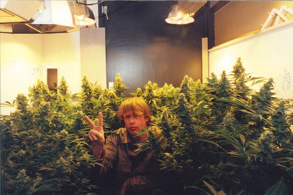 K.С. Brains Seeds - Cristal Paradise (fem.)