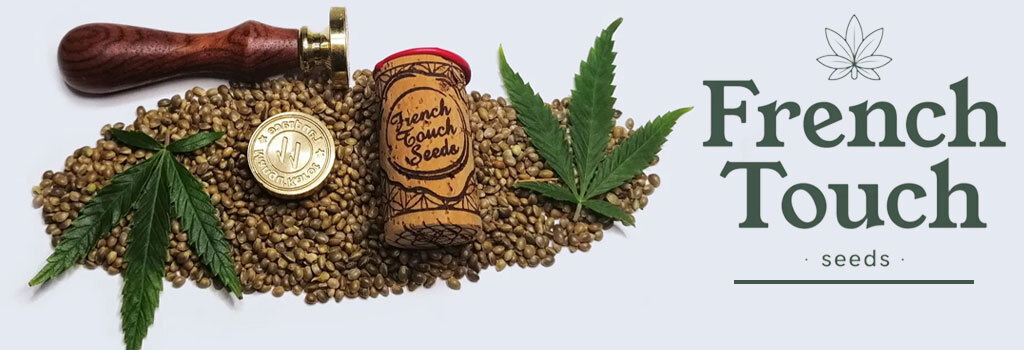 French Touch Seeds - Sativa Des Rois (fem.)