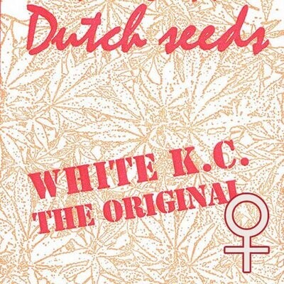 K.С. Brains Seeds - White K.C. (fem.) 01698