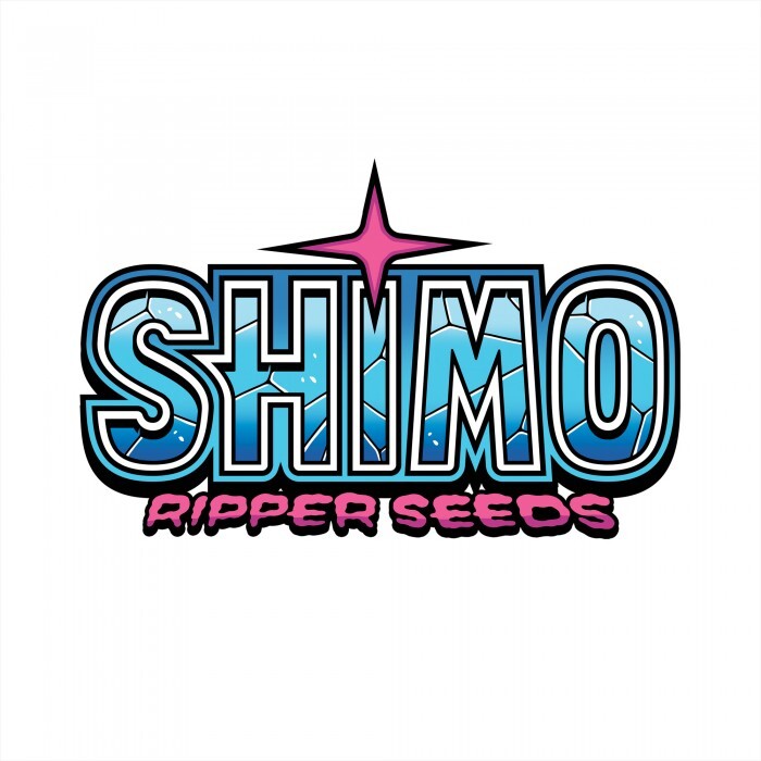 Ripper Seeds - Shimo (fem.)