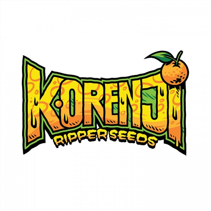 Ripper Seeds - Korenji (fem.)