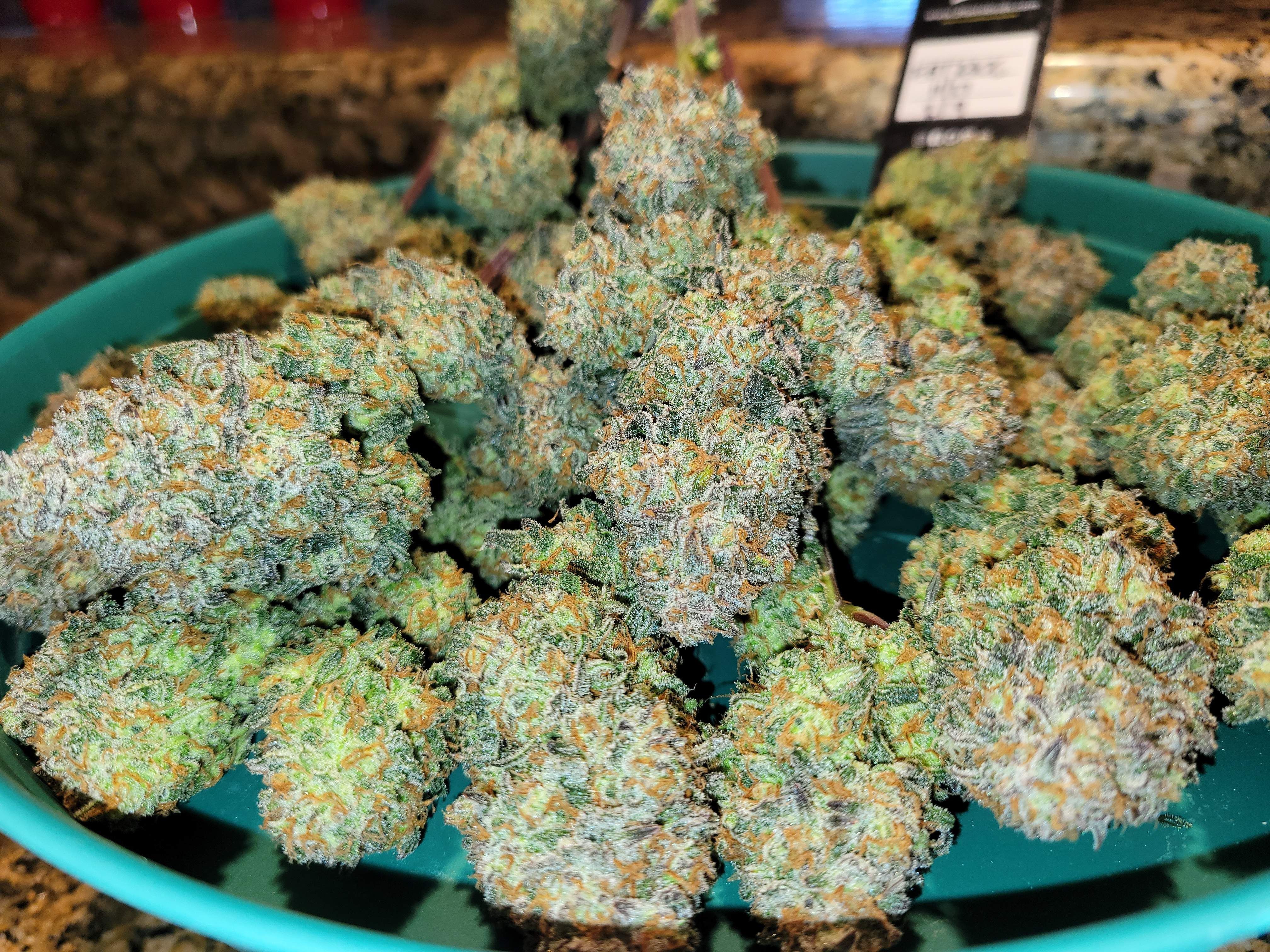 FastBuds - Apple Strudel Auto (auto/fem.)