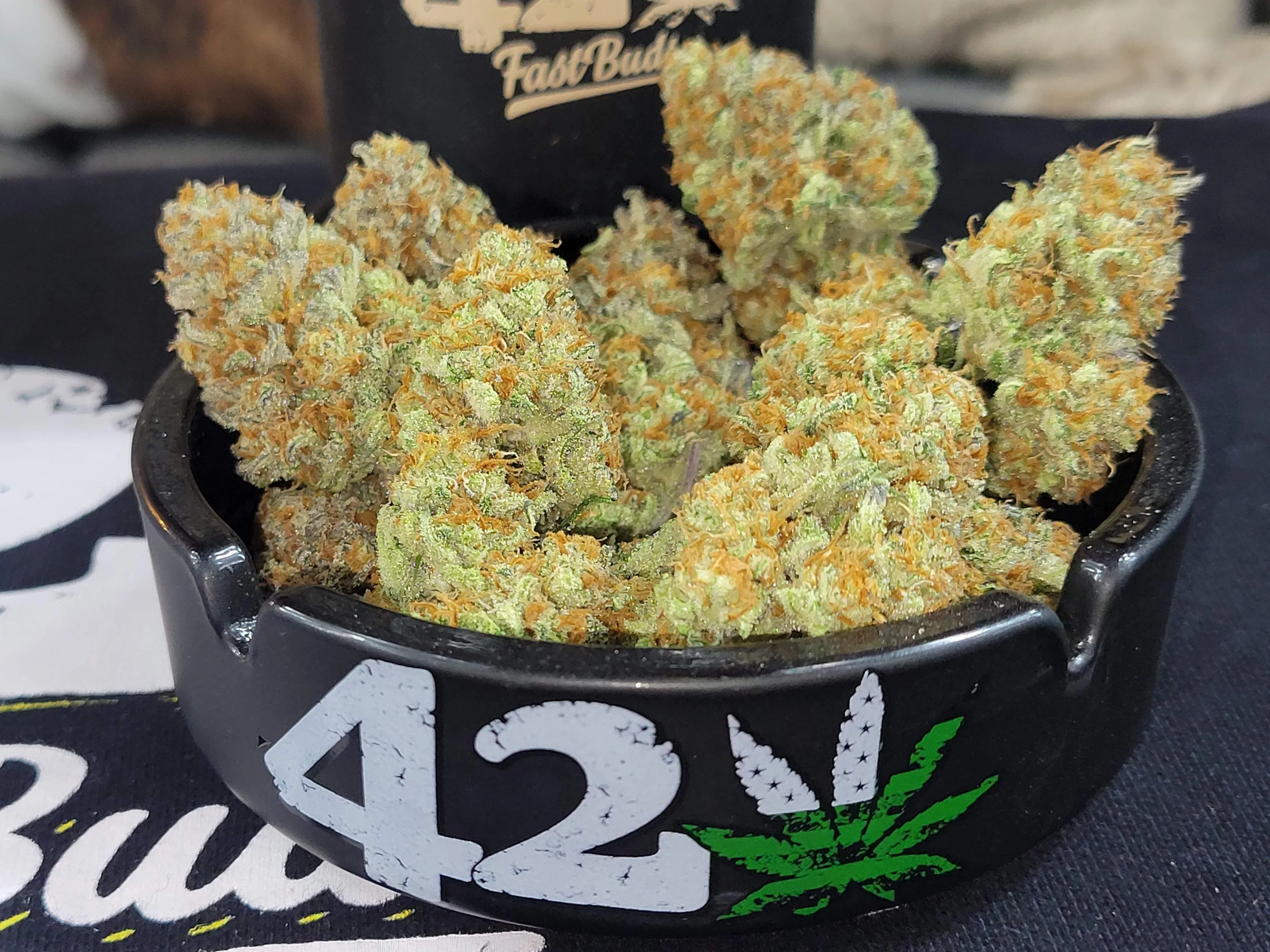 FastBuds - Apple Strudel Auto (auto/fem.)